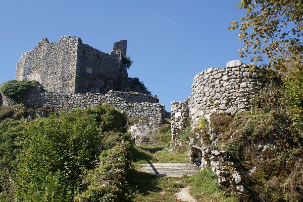 Alt bechburg dsc04783 x