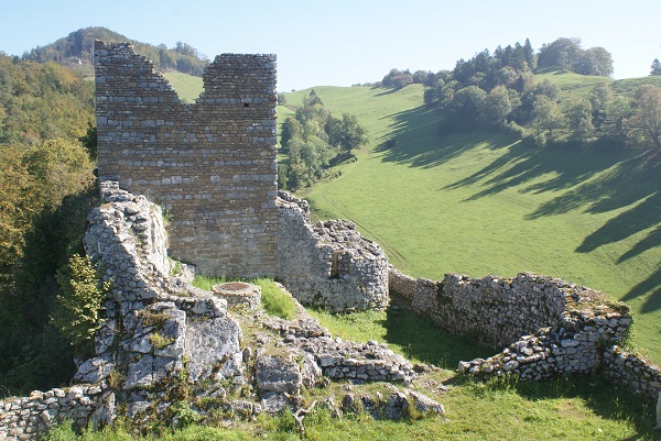 Alt bechburg dsc04792 x