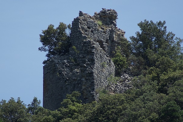 Castel fizel 66 125