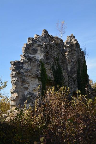 La tour du meix 40