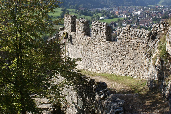 Neu falkenstein dsc04757 x