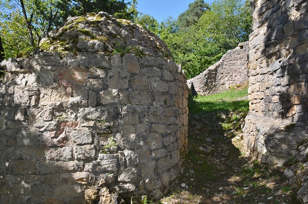 Scheidegg bl 055